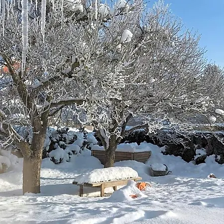 Haus Nohra 3* Санкт-Михель (Лунгау)