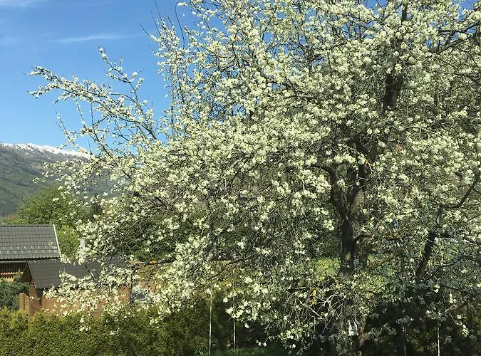 Bed & Breakfast Haus Nohra